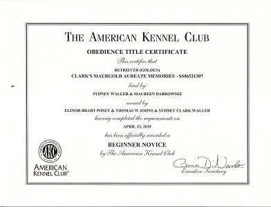 SmallPicture of Rhys earning 3rd BN leg